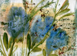 Blue Flowers