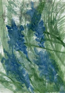 Blue Flowers, 2022