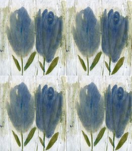 Blue Tulips