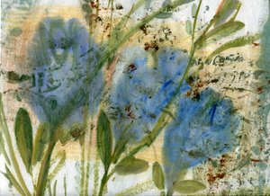 Blue Flowers 2