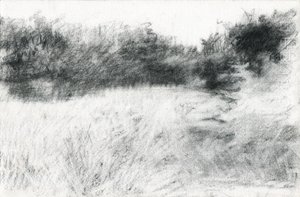 Landscape by Marina Falco