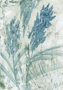 Light Blue Flowers