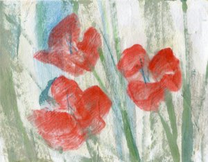 Red Flowers
