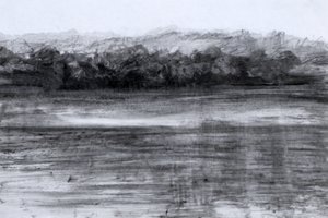 The Lake by Marina Falco