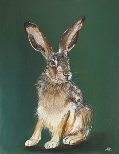 Brown Hare Portrait