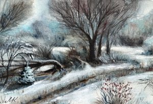 Snowy Winter Path