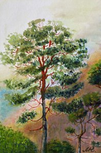 Watercolor Pine Forest