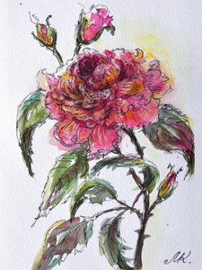Watercolor Rose Bloom