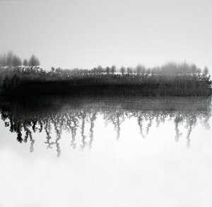 Monochrome Forest Reflection by Marina Nelson