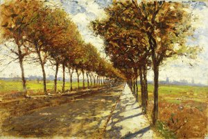 Tree-lined Avenue in Bremen