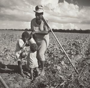 Black Woman Giving Her Children a Drink in the Field Where She