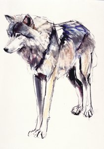 Alpha by Mark Adlington