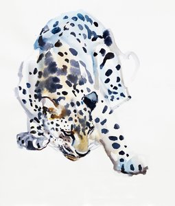 Arabian Leopard