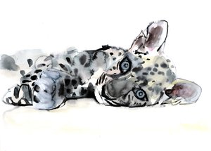 Arabian Leopard Cub, 2008