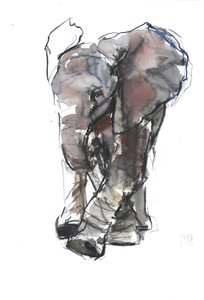 Baby Elephant Study by Mark Adlington