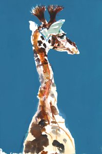 Baby Masai Giraffe by Mark Adlington