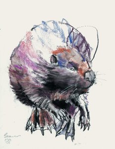 Beaver, 2001 by Mark Adlington