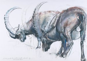 Building up for Winter by Mark Adlington