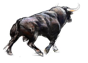 Bull