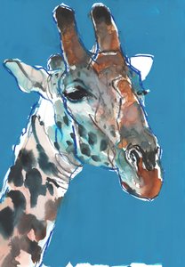 Bull Masai Giraffe by Mark Adlington
