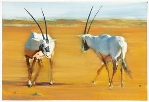Circling Arabian Oryx, 2010 by Mark Adlington