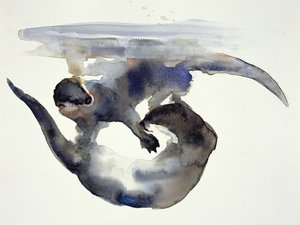 Courtship by Mark Adlington