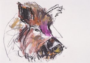 Dzik by Mark Adlington