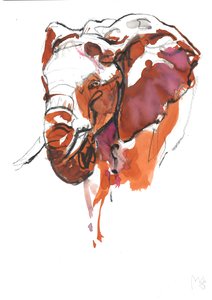 Elephant Head Study II by Mark Adlington