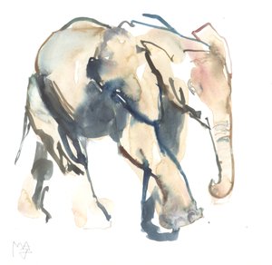 Elephant Calf, Loisaba, 2017
