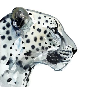 Focus, 2015