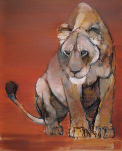Focus by Mark Adlington