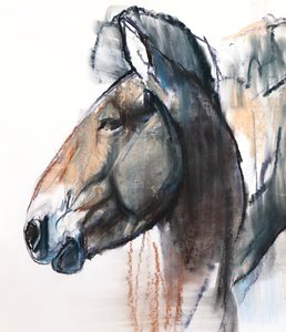 Head Study, Przewalski (detail)