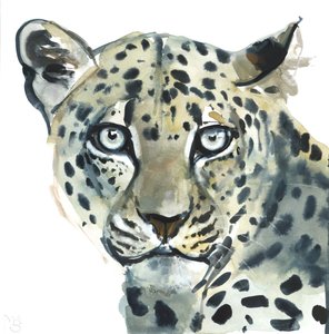 Leopard, 2015