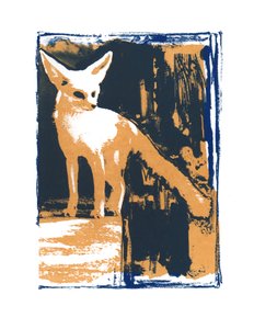 Little Desert Fox, 2015