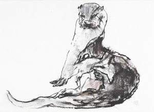 Lutra lutra by Mark Adlington