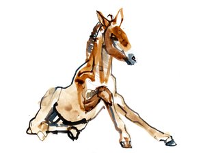 Ochre Foal (Przewalski), 2013