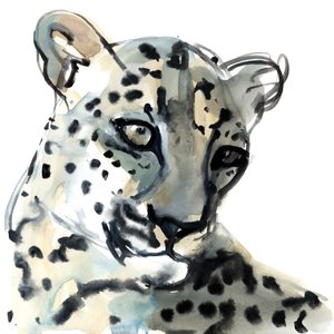 Persian, 2015