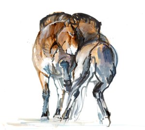 Power Dance (Przewalski)