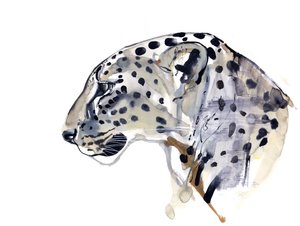 Profile (Arabian Leopard), 2008