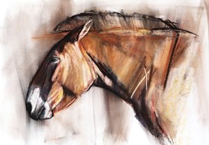 Resting Horse