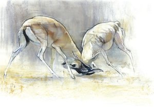 Sand Gazelles, 2009 by Mark Adlington