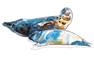 Seal Mother, 2022 by Mark Adlington