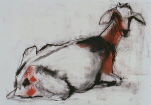 Seated Goat