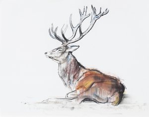 Seated Stag by Mark Adlington