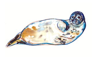 Senseal by Mark Adlington
