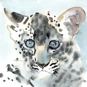 Shy, 2015