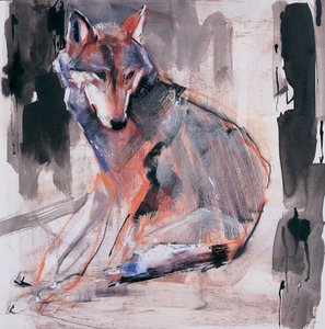 Sitting Wolf, 2000 by Mark Adlington