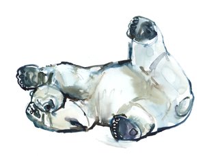 Snow Rub (Polar Bear) by Mark Adlington