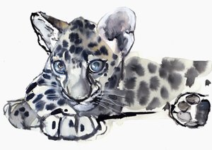 Spotty (Arabian Leopard Cub), 2008