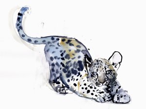 Stretching Cub (Arabian Leopard)